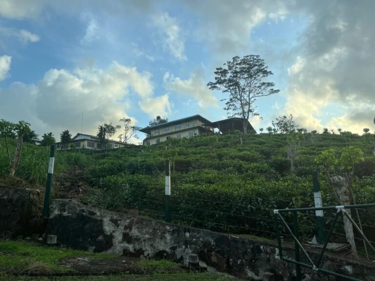 WhatsApp-Image-2025-06-27-at-05.49