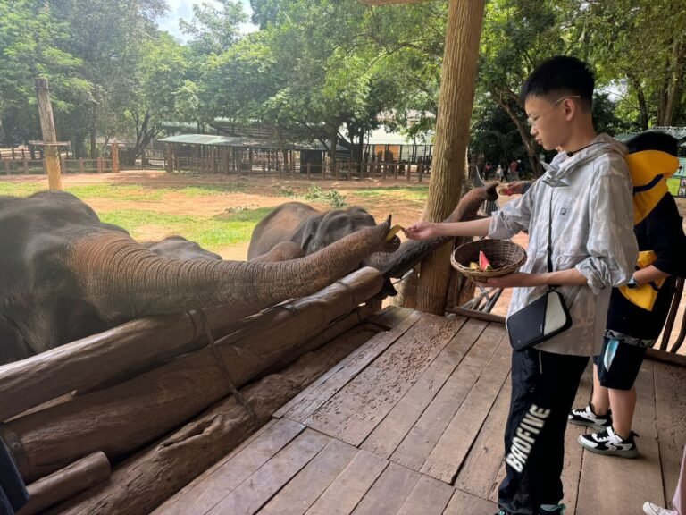 WhatsApp-Image-2025-07-19-at-10.03