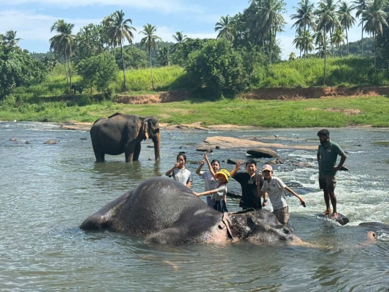 WhatsApp-Image-2025-07-19-at-12.05