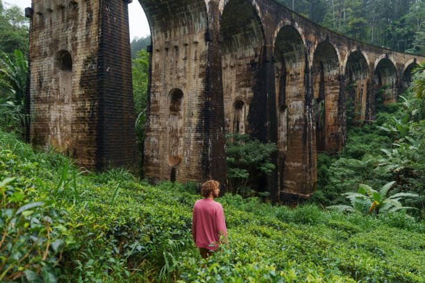 istockphoto-2183673684-612x612-1